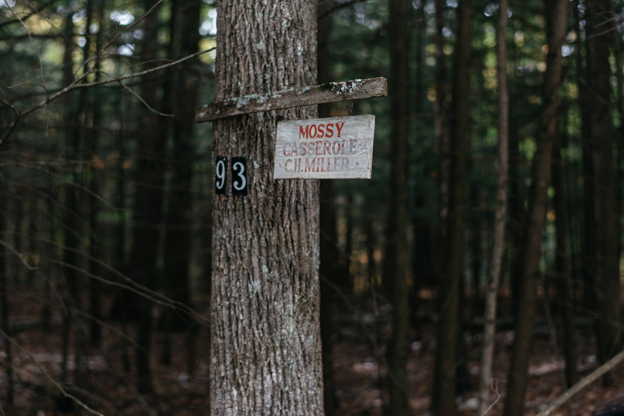 Marcy Field Wedding Keene Adirondacks