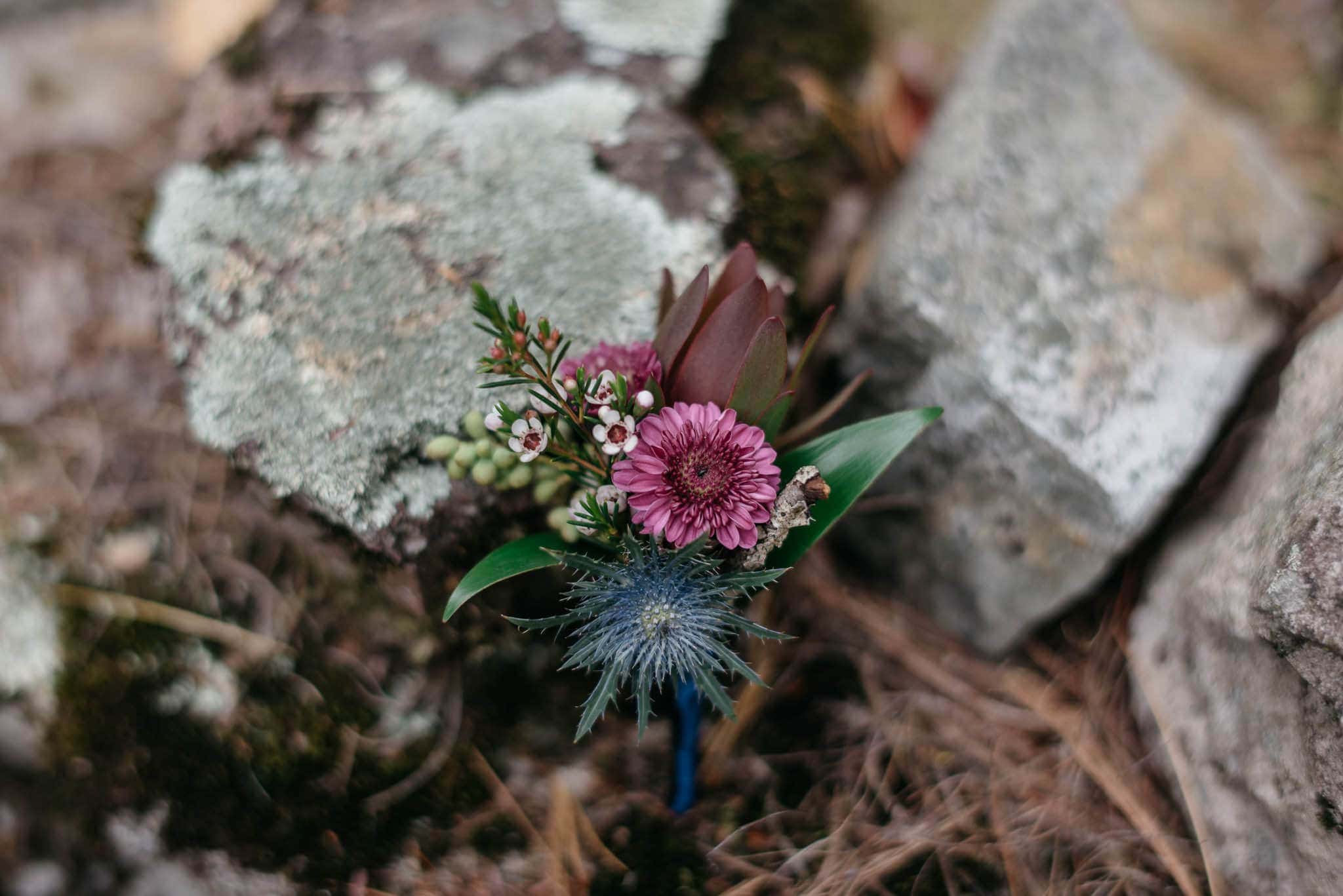 Marcy Field Wedding Keene Adirondacks