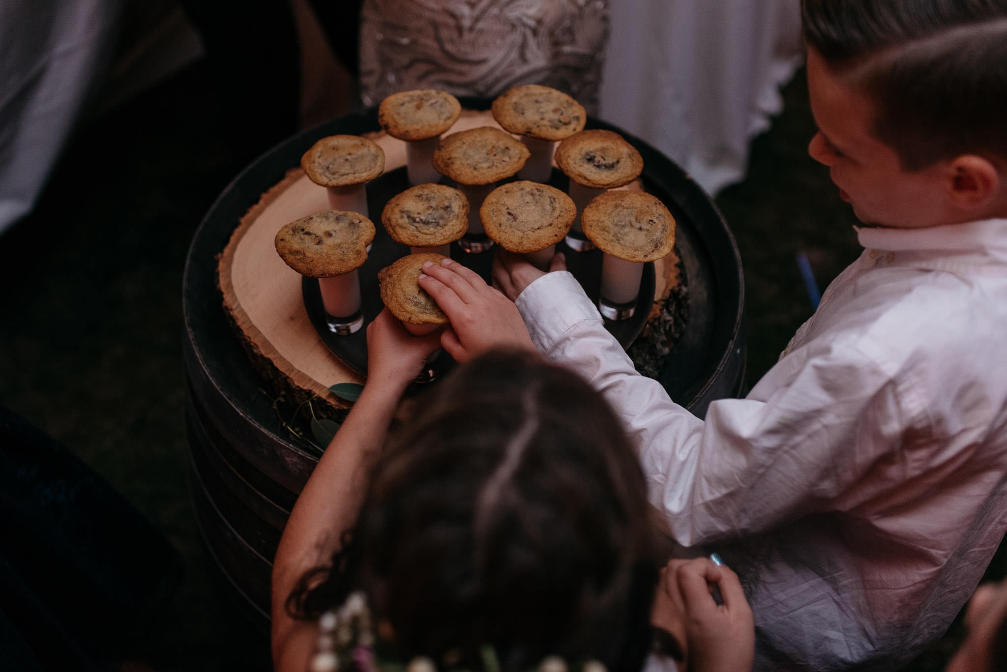 Marcy Field Wedding Keene Adirondacks