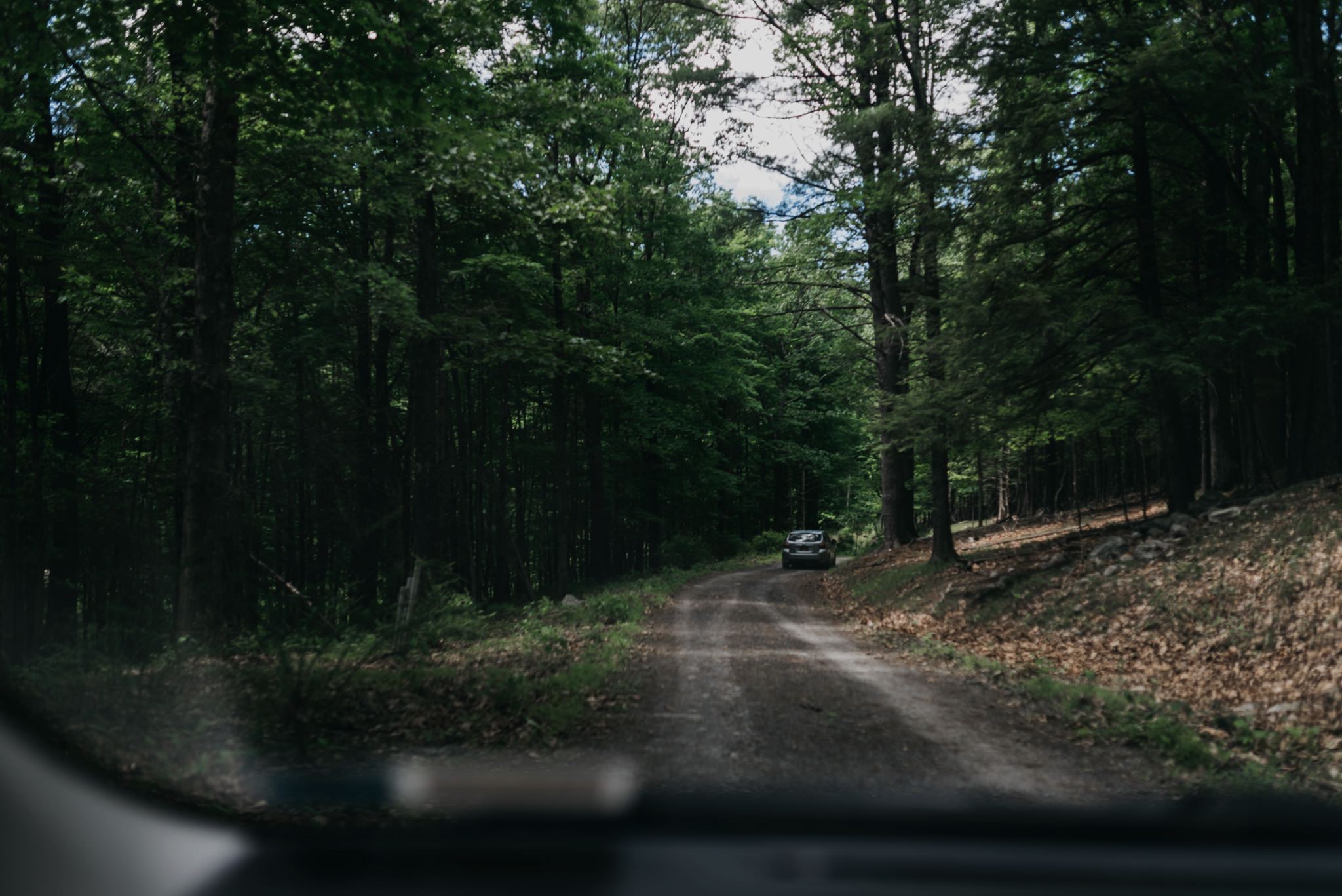 mohonk preserve wedding