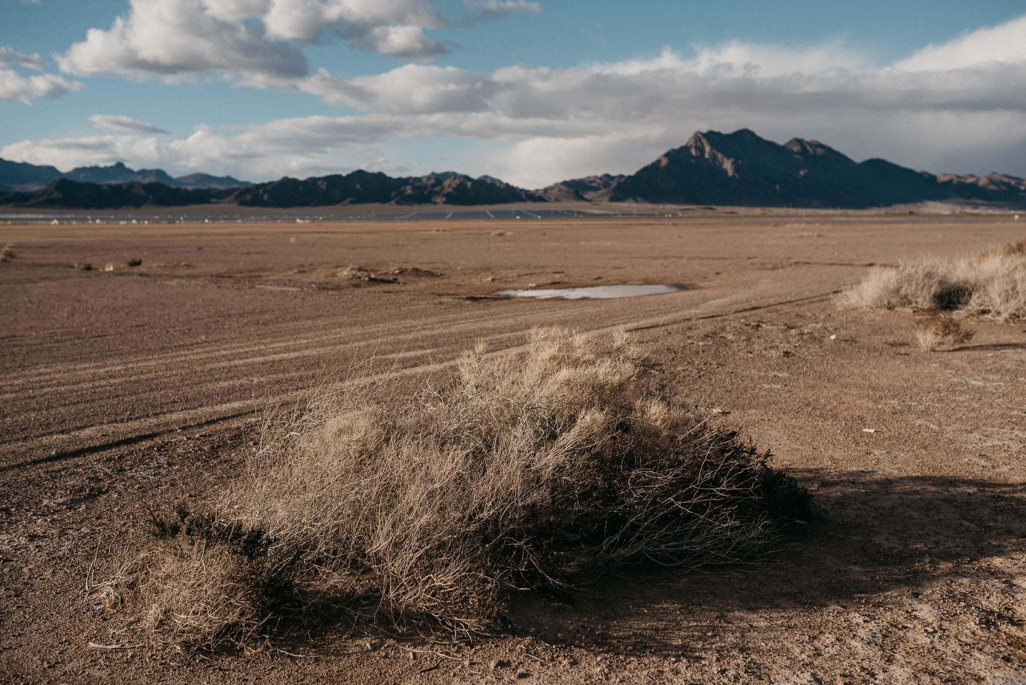 el dorado dry lake bed wedding