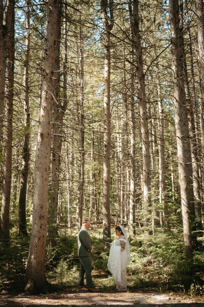 Couple standing apart among tall pines in dappled light