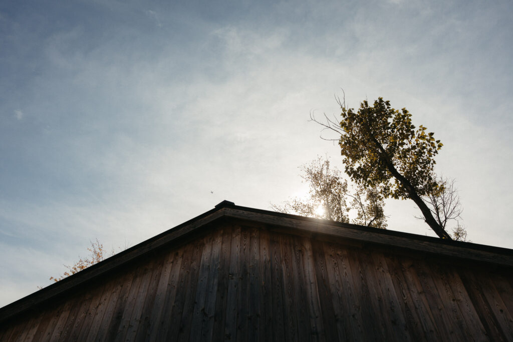 Barn roofline against the sky with a tree behind it