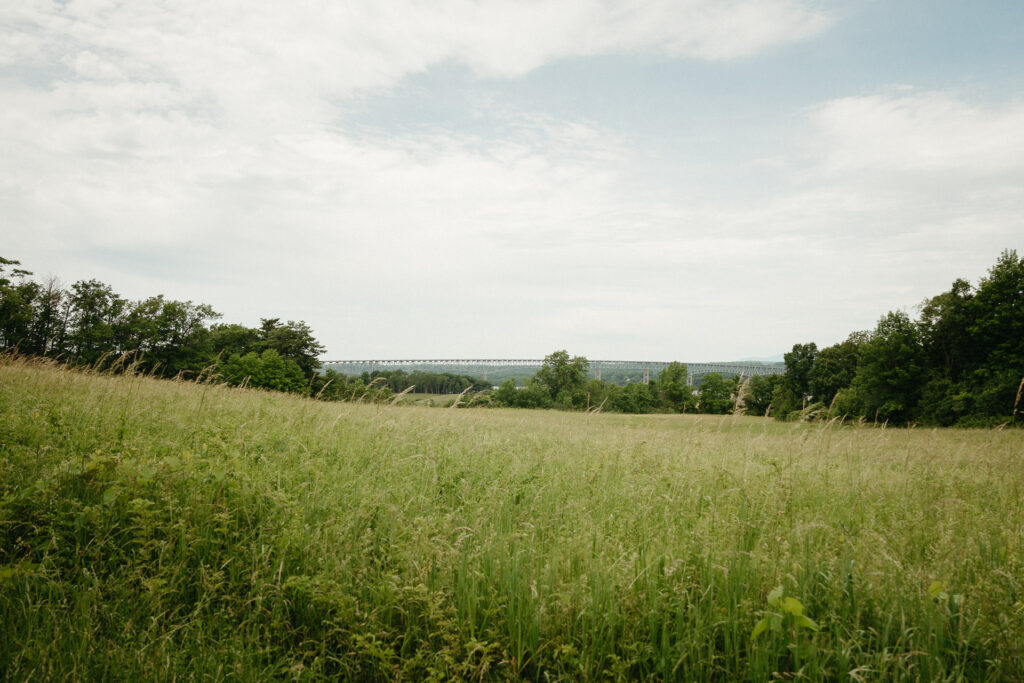 View across a grassy hilltop meadow under a cloudy sky